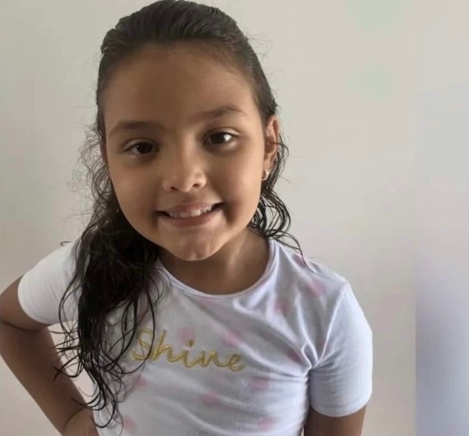 Tragédia: Menina de 7 anos morre ao cair sobre vaso sanitário ao tentar mudar temperatura de chuveiro em SC - HN Notícias